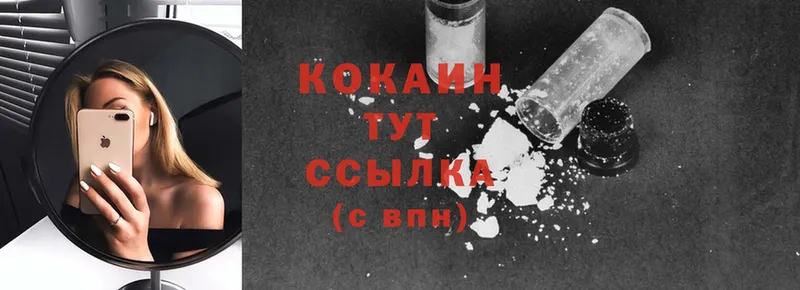 купить закладку  мега как войти  Cocaine 99%  Нефтекумск 